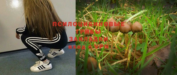 ПСИЛОЦИБИНОВЫЕ ГРИБЫ Володарск