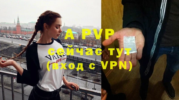 ECSTASY Волосово